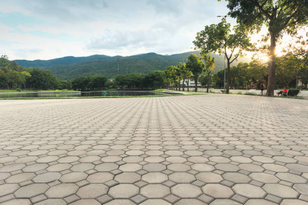 Best Driveway Pavers Installation  in Lake Butler, FL
